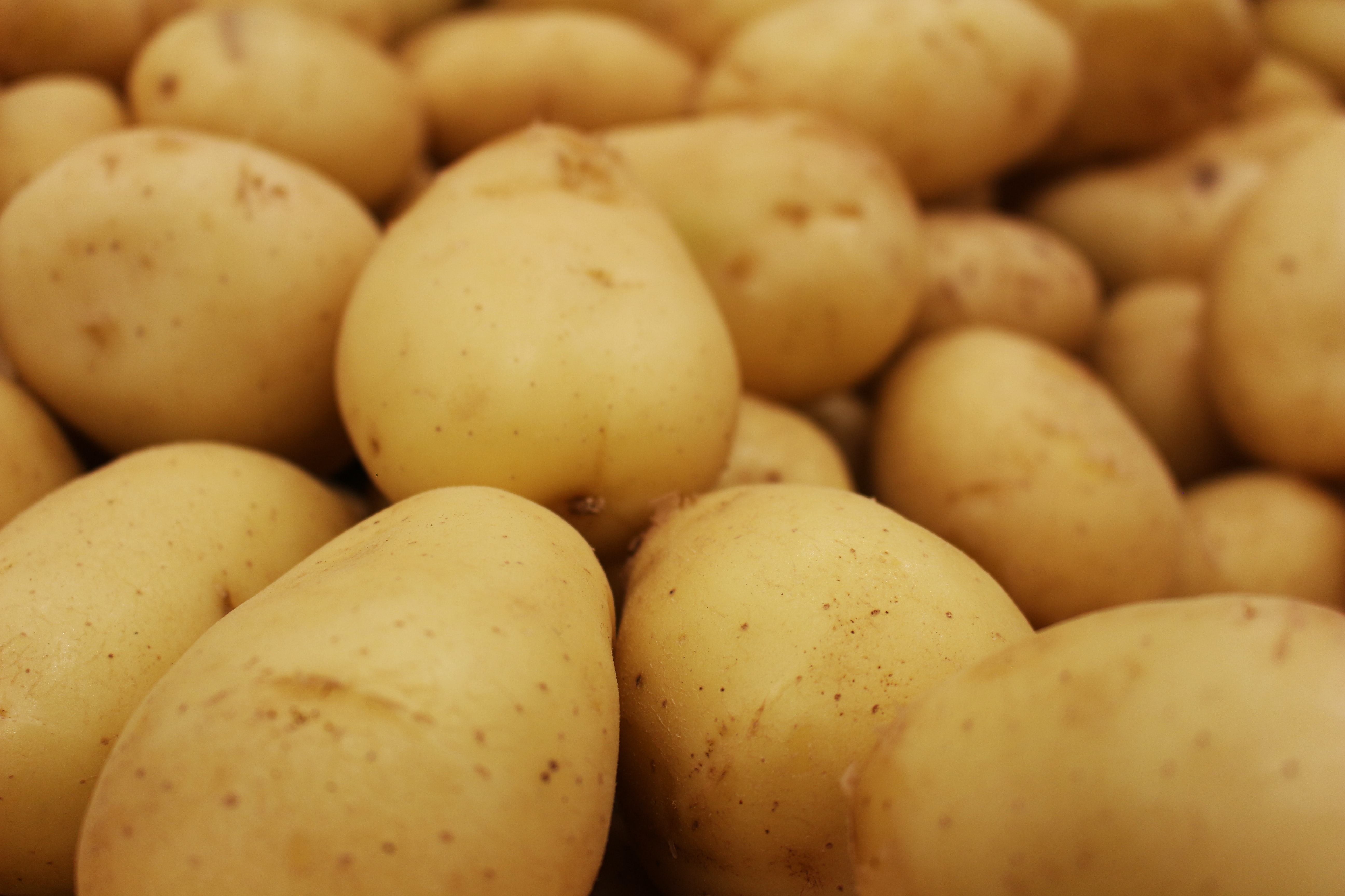 U.S. Potato Market Forecast for December 2022