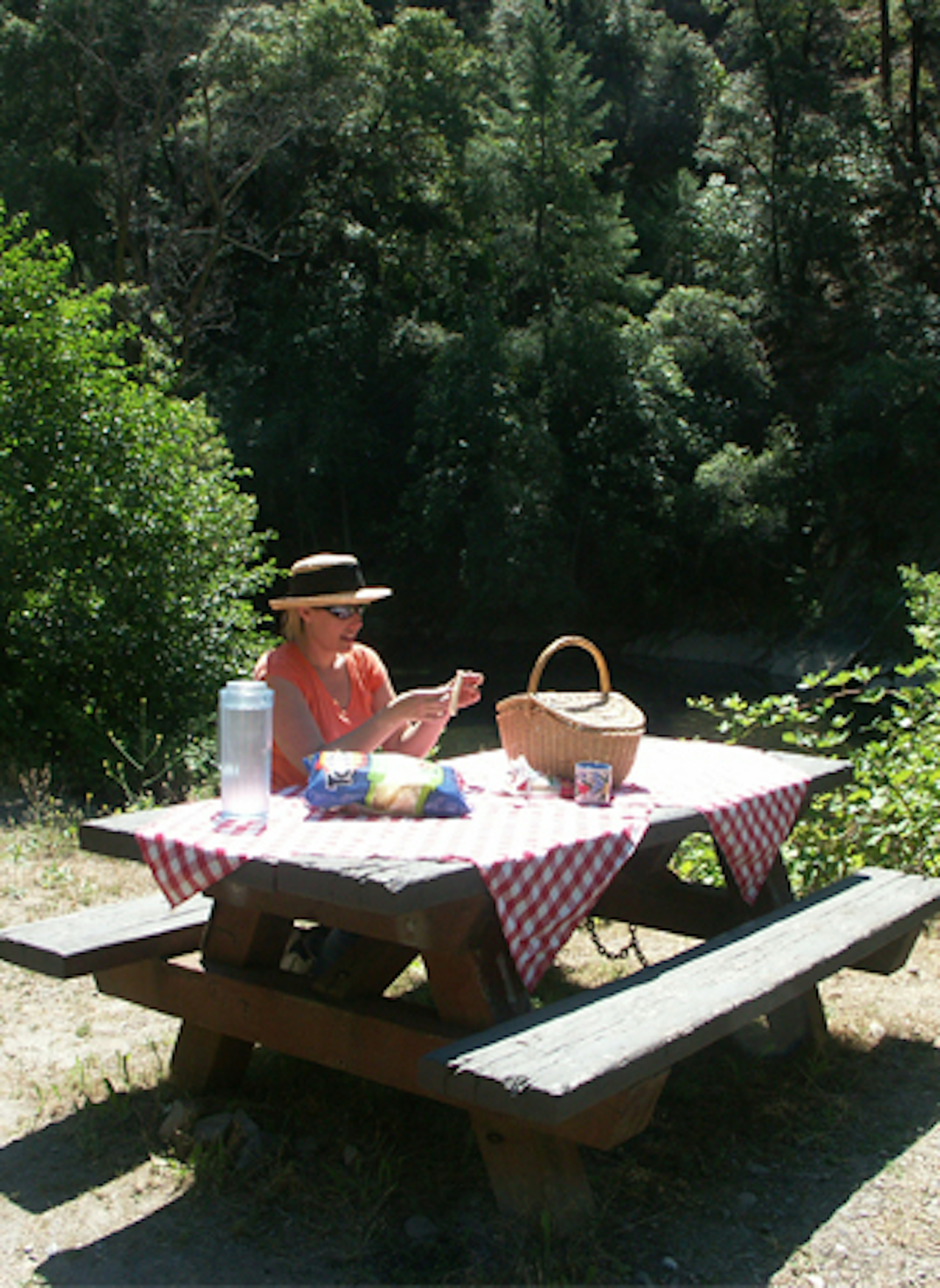 Picnic Table Along Middle Fork American River