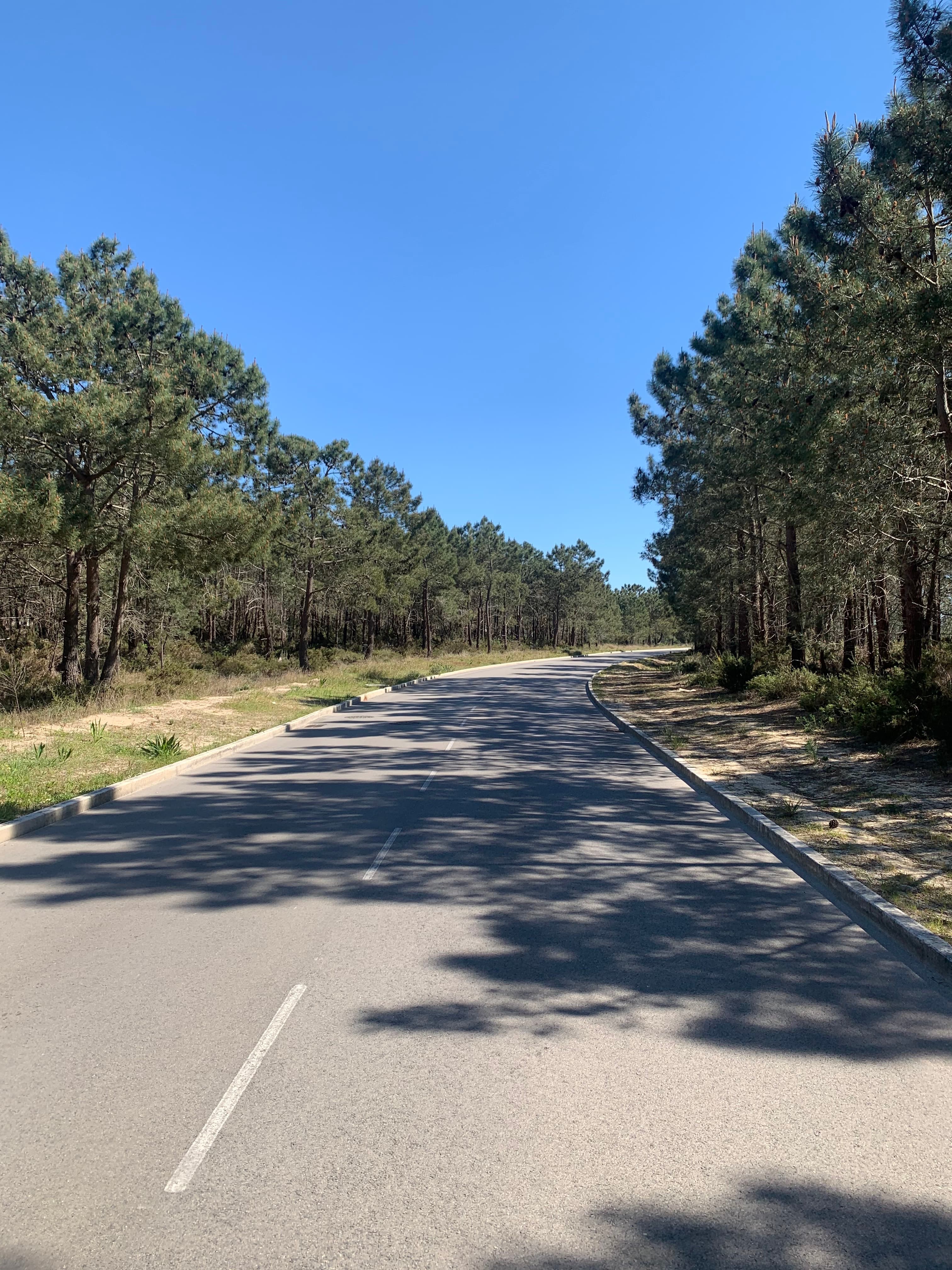 Mothership Connection: Pete BBE