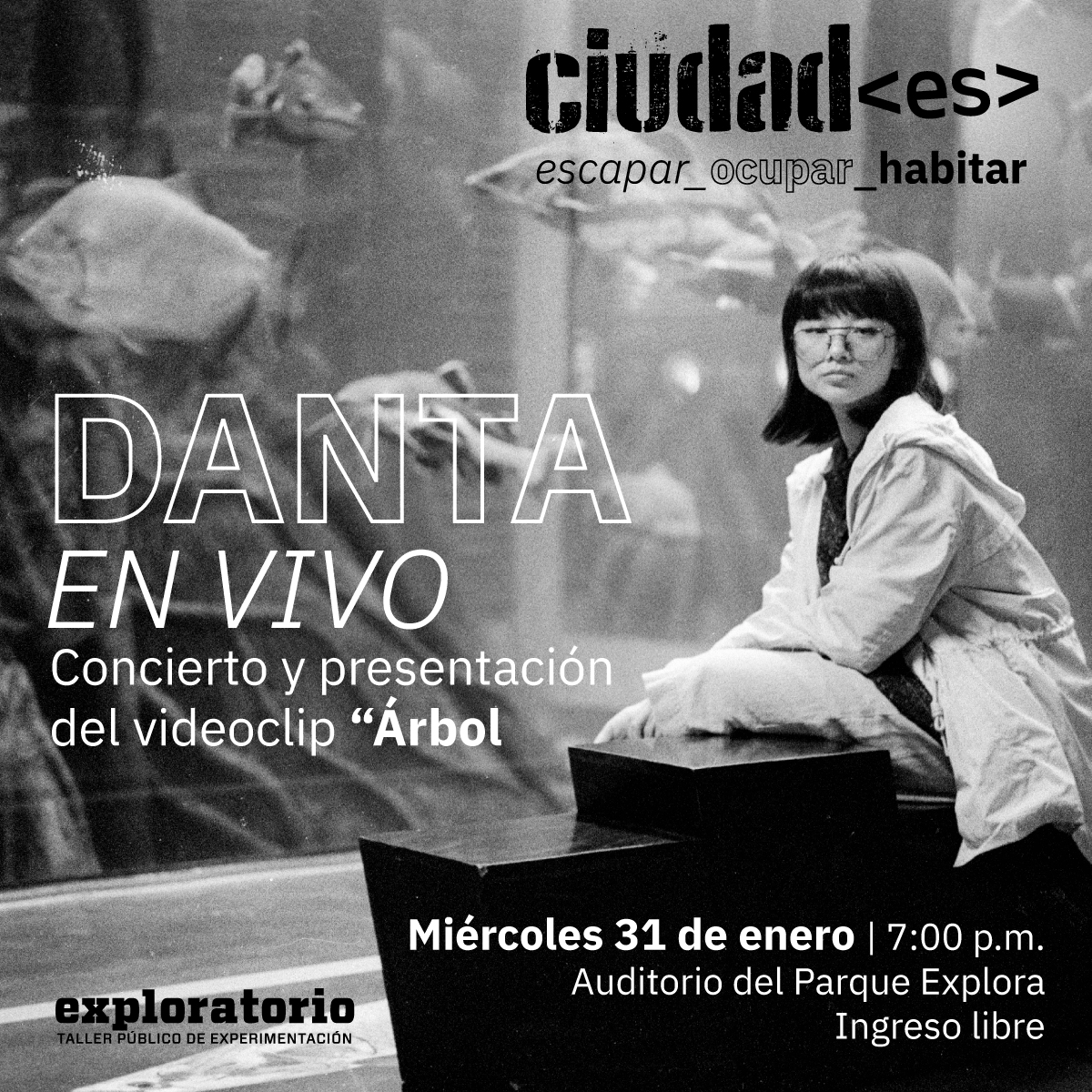 DANTA-TL01.jpg