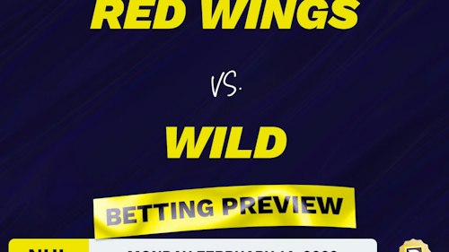 Red Wings vs. Wild Predictions and Odds - Feb 14, 2022