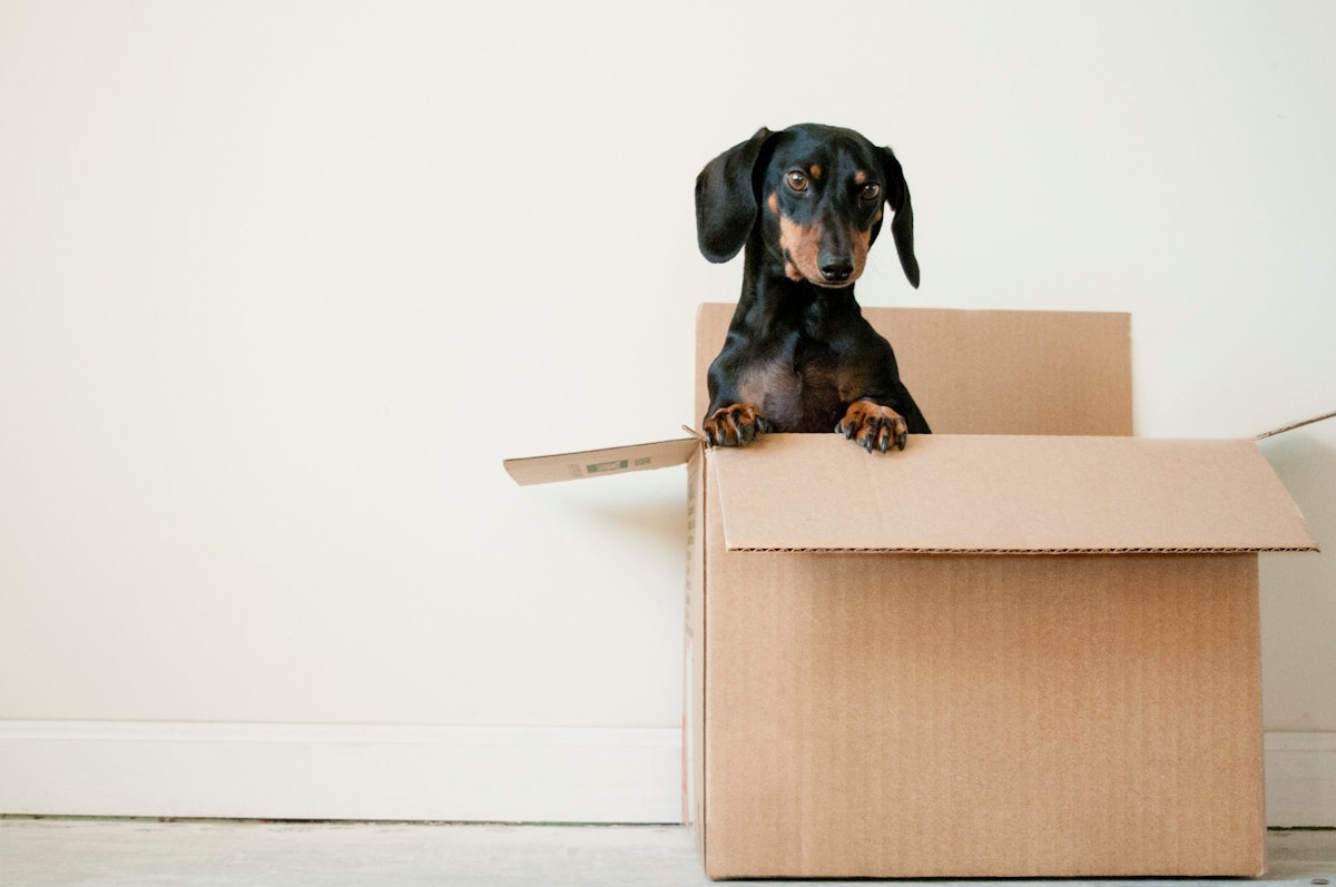 5 Tips for Moving Out of Your House Quickly