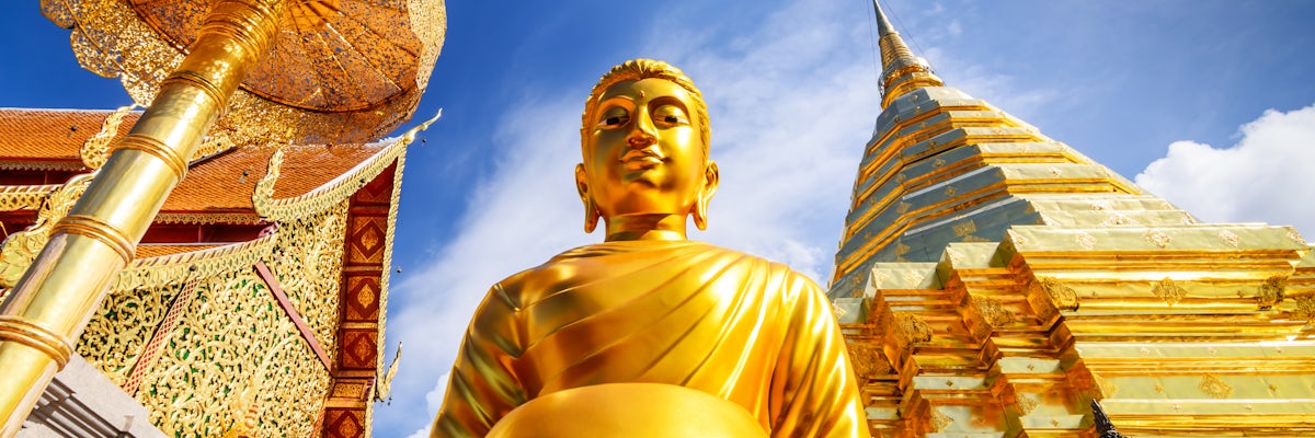 undefined's banner image
