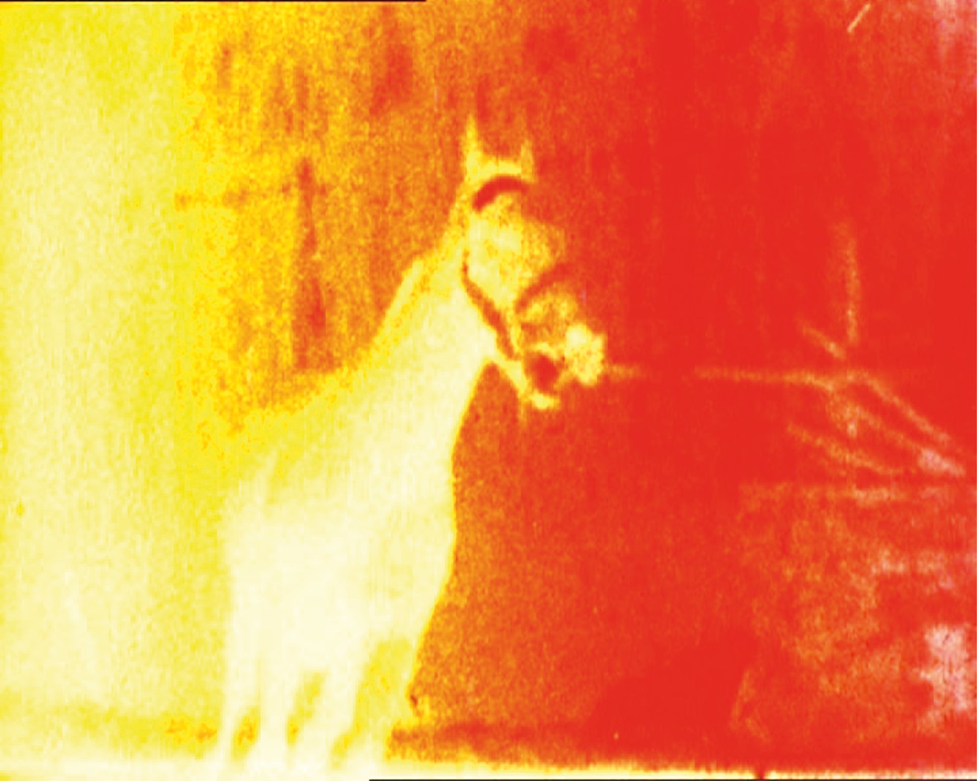 Signal to Noise: Spooky Action at a Distance w/ Sly Ida