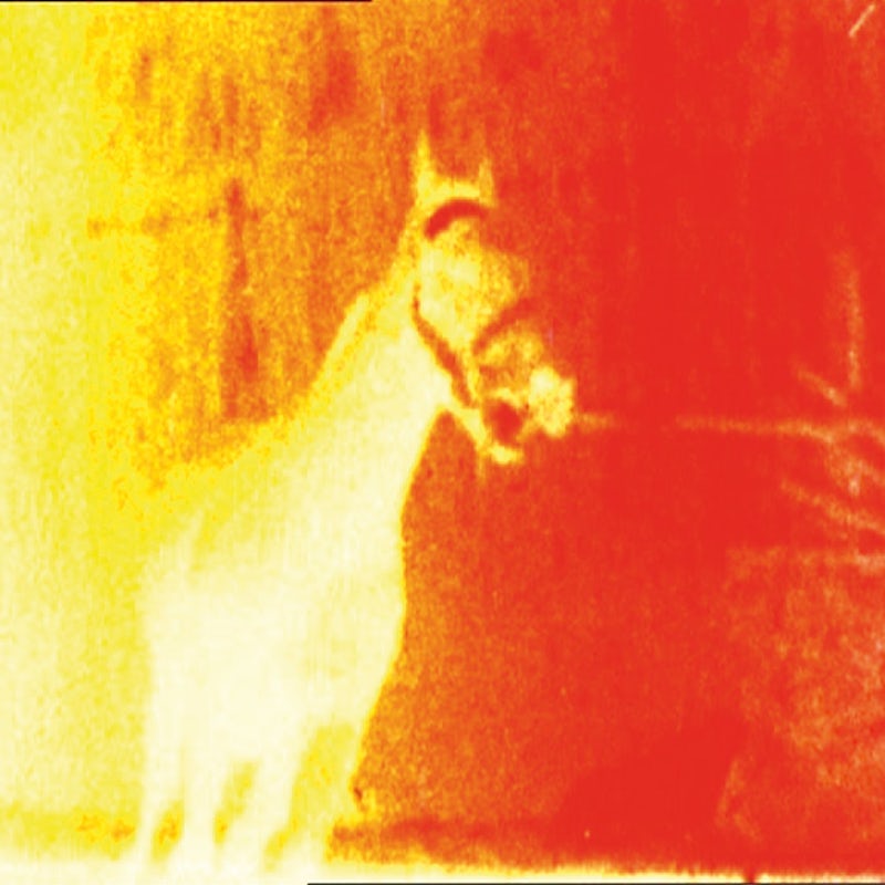 Signal to Noise: Spooky Action at a Distance w/ Sly Ida