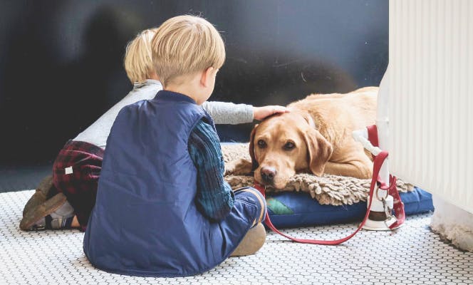 Two small boys petting their Golden Retriever pup that is laying on its mat. 