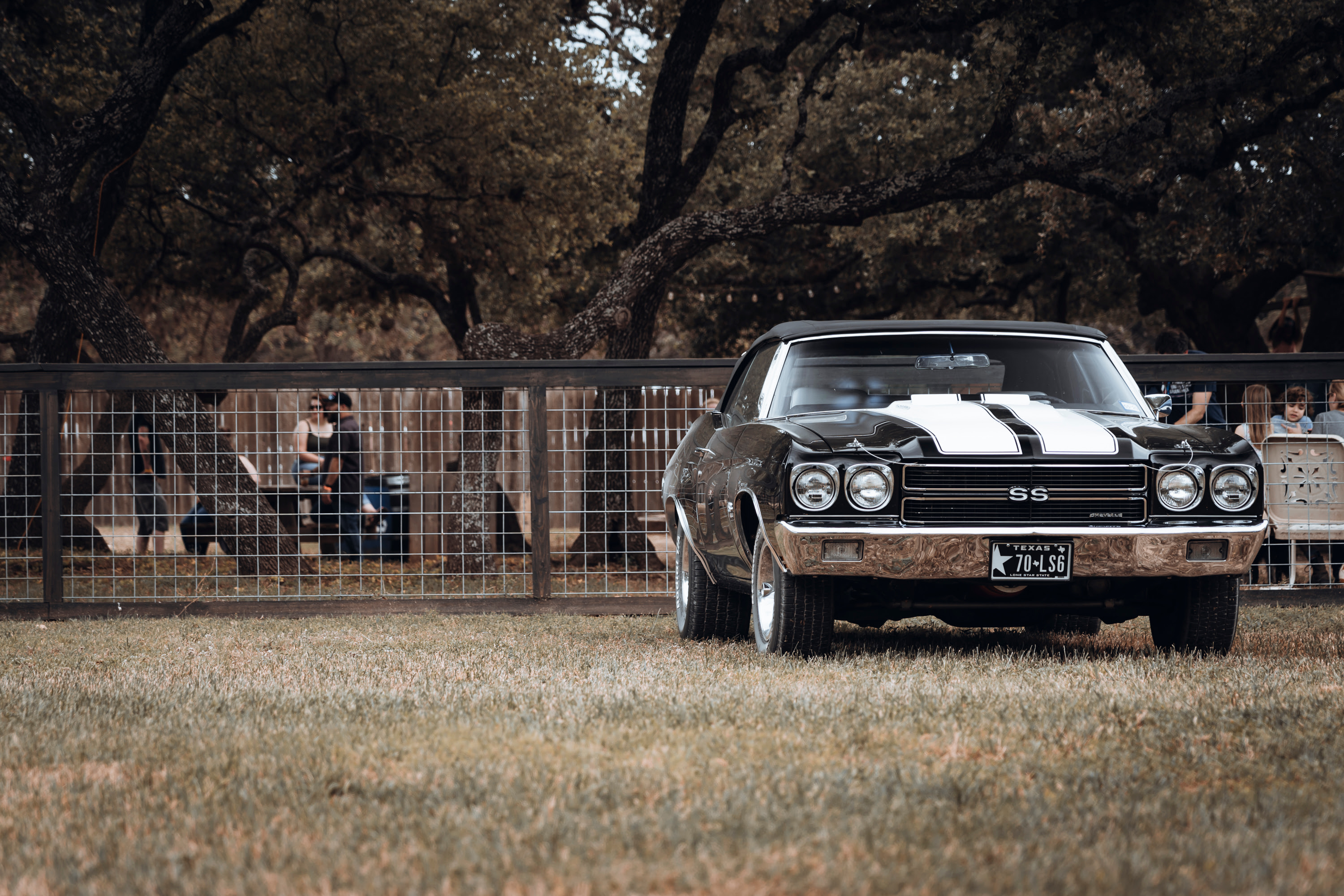 Black Chevelle with white stripes.