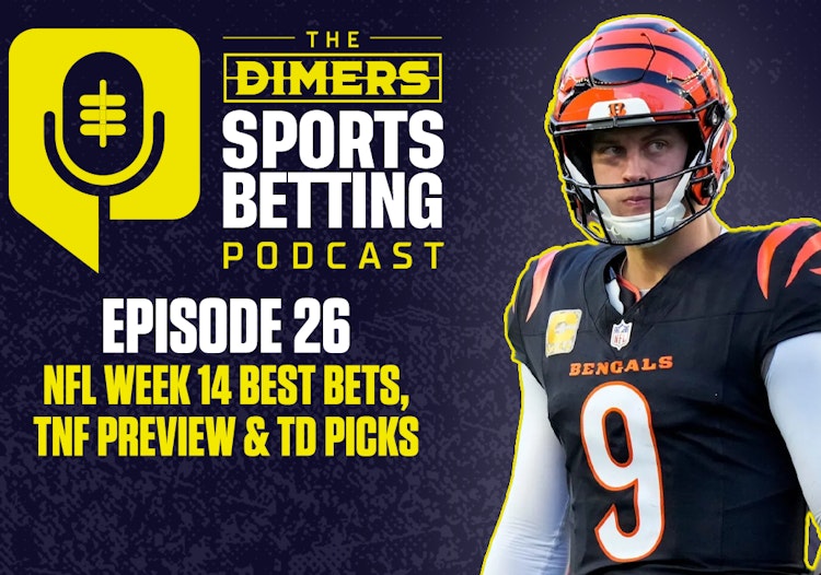 NFL Predictions, NFL Bets, Betting Podcast, Fantasy Football podcast, nfl betting, NFL Week 14