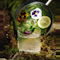 Fresh Mint Cocktail