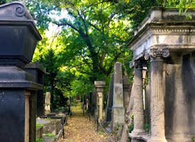 Where Time Stopped: Forgotten Jewish Cemetery's thumbnail image