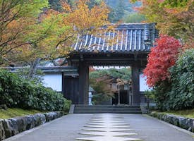 Autumn Hidden Zen Garden Immersion's thumbnail image