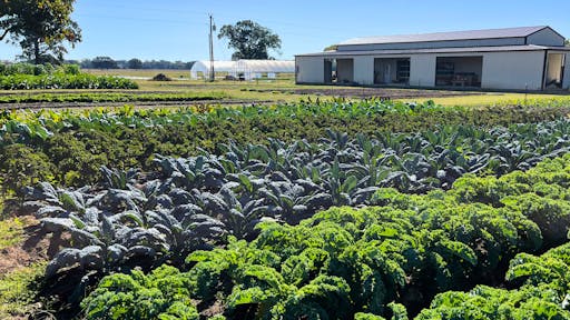 Jason at Emory Market Gardens