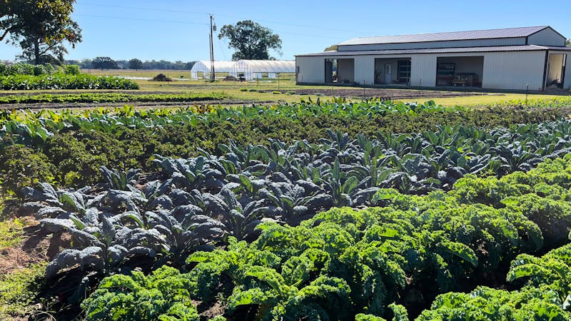 Emory Market Gardens Open House and Tour 11/1/2025