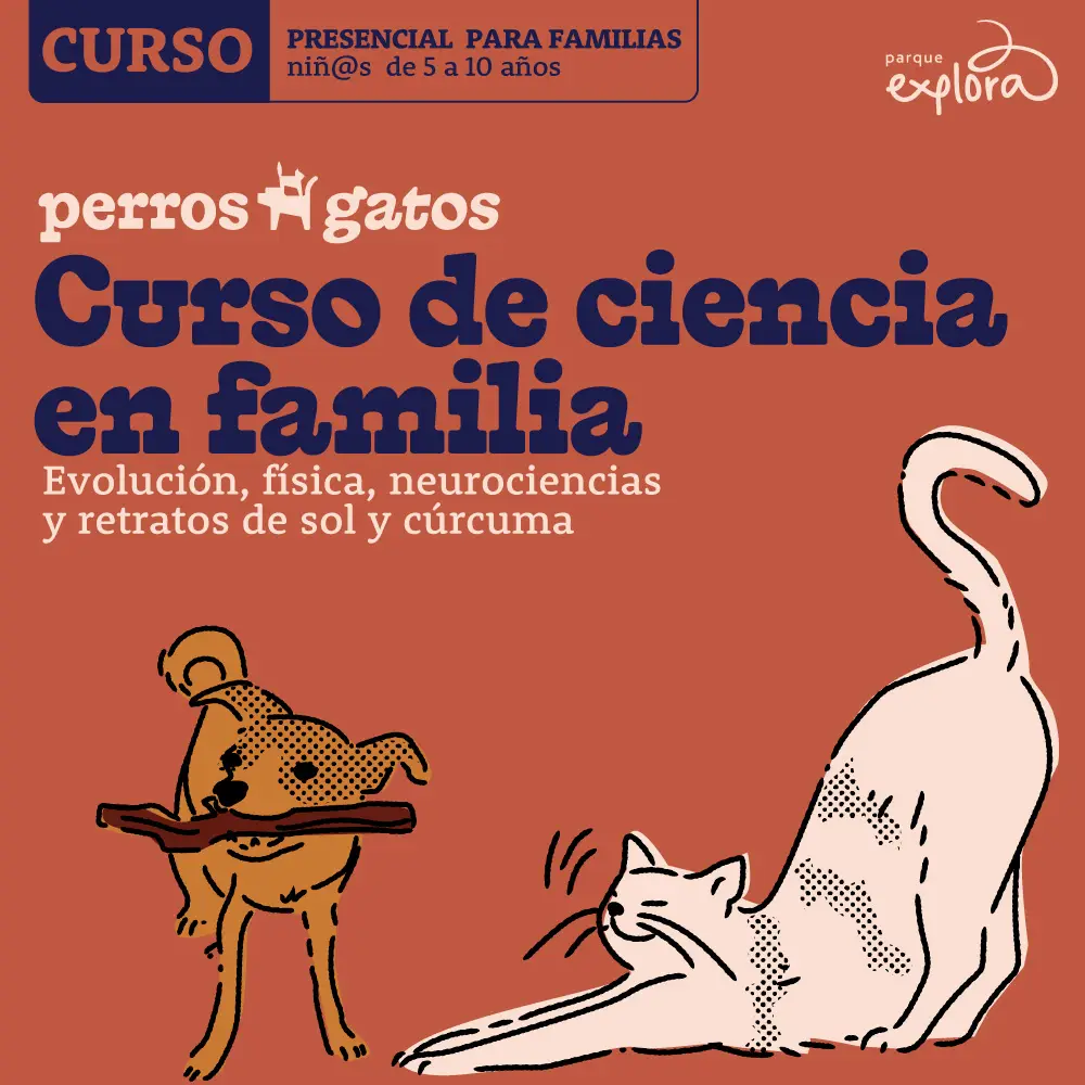 Ilustración de un perro que sostiene un objeto alargado en el hocico y un gato que se estira. En la parte superior: «Curso presencial para familias. Niños de 5 a 10 años». Al centro: «Perros y gatos. Curso de ciencia en familia». Debajo: «Evolución, física, neurociencias y retratos de sol y cúrcuma».