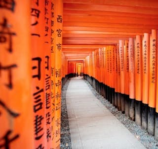 Discovering Kyoto: the Ancient Capital of Japan's gallery image