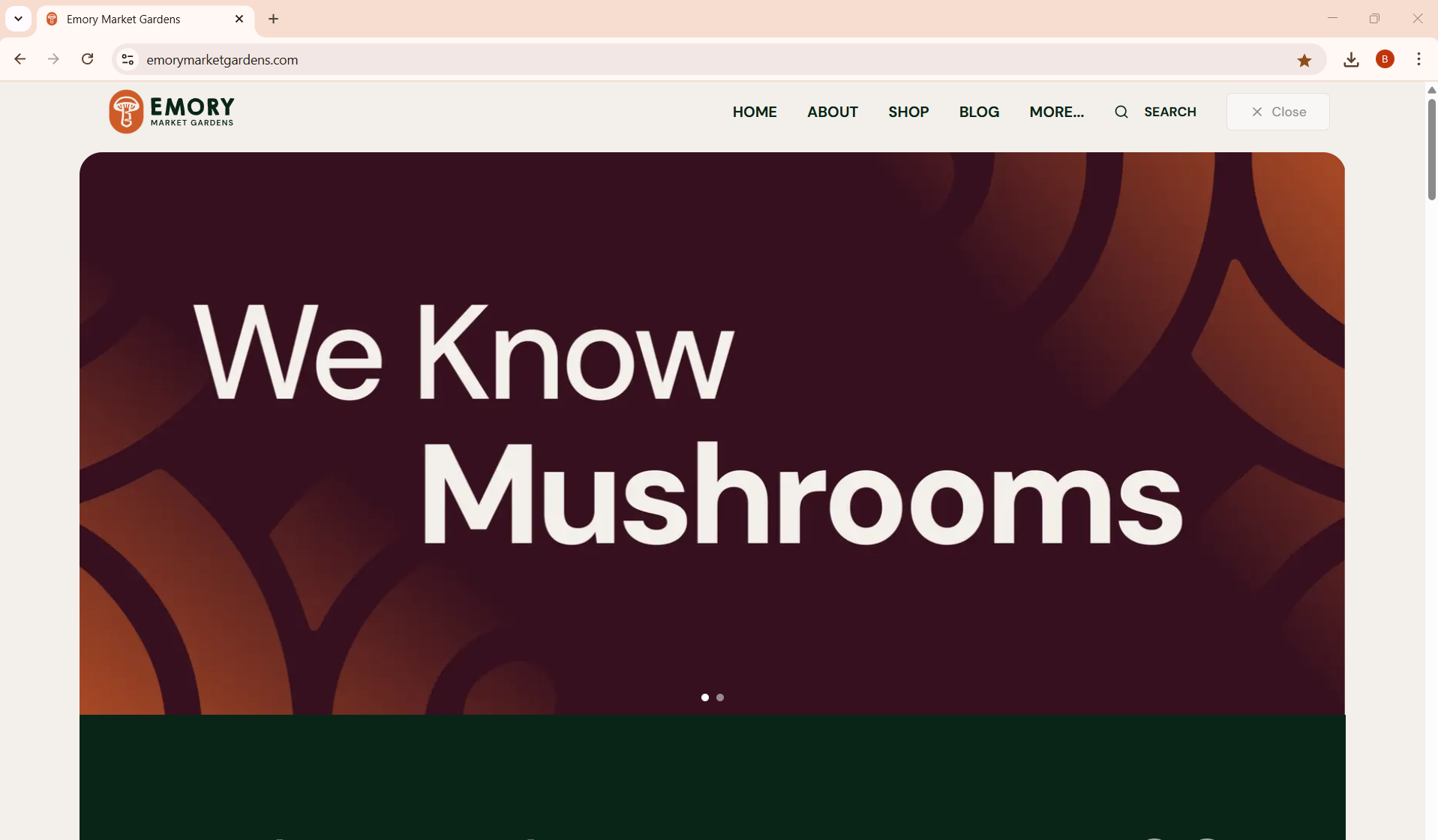 1-Landing-Page.png