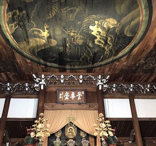 Hidden Zen Garden Immersion's gallery image
