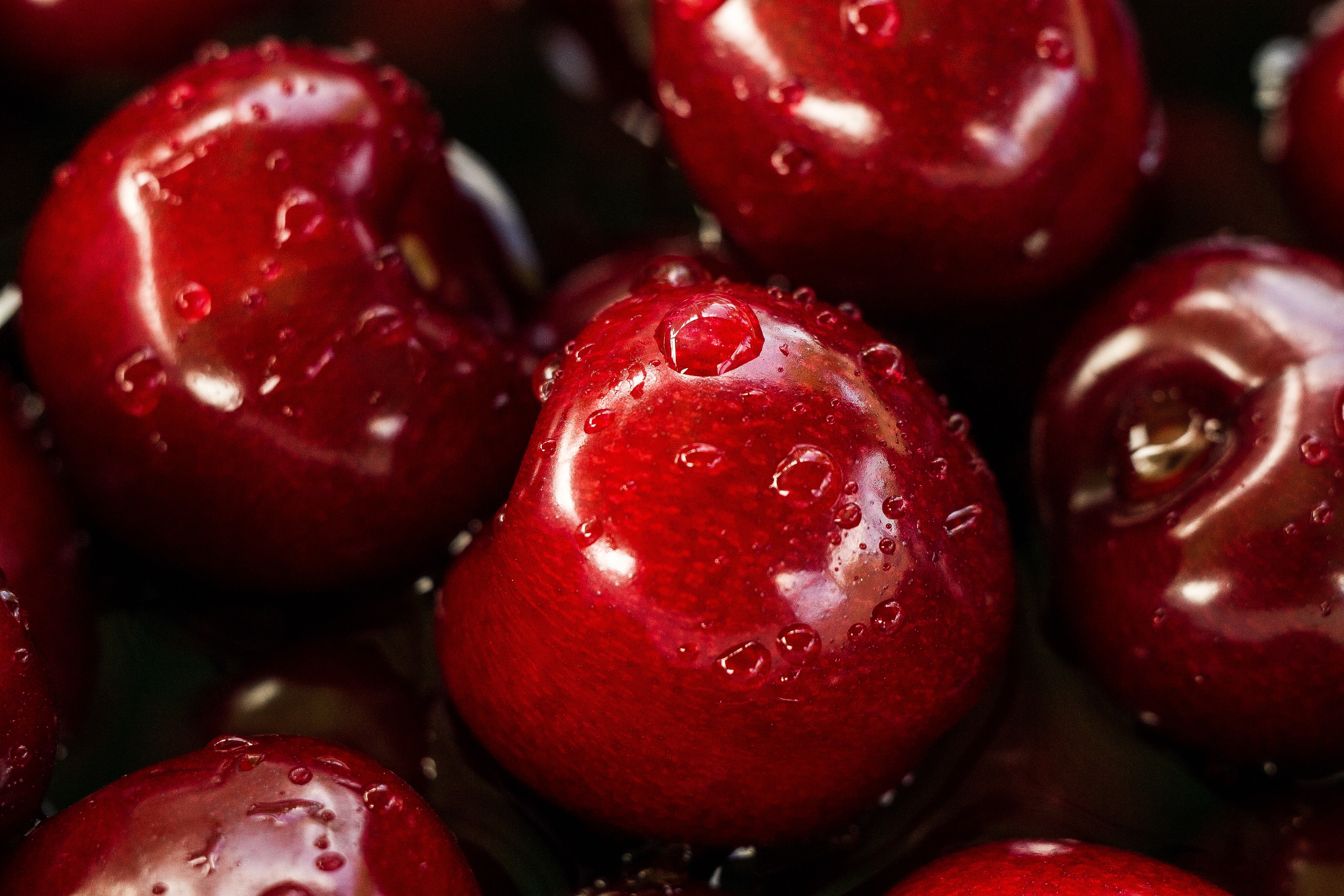 Everything You Need to Know About Cherry Season in the U.S.