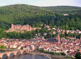 Still Through Heidelberg Castle & Old Town's thumbnail image