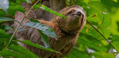 The best places to see wildlife in Costa Rica