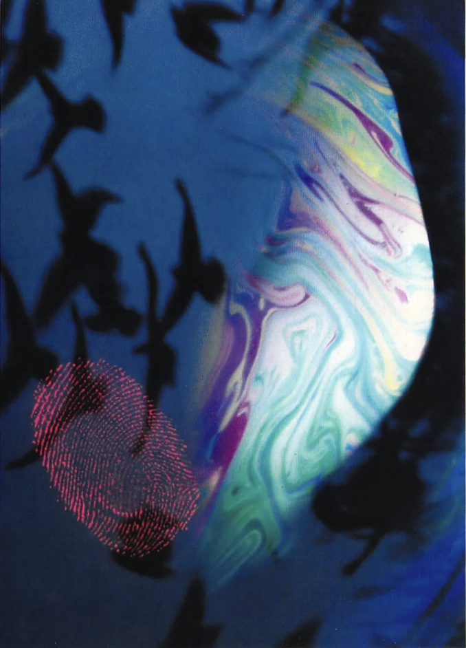 Si Fa No Fa: Sportello