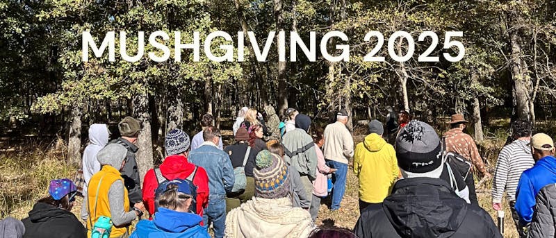 Mushgiving 2025: A Day of Foraging, Food, and Fungal Community in East Texas