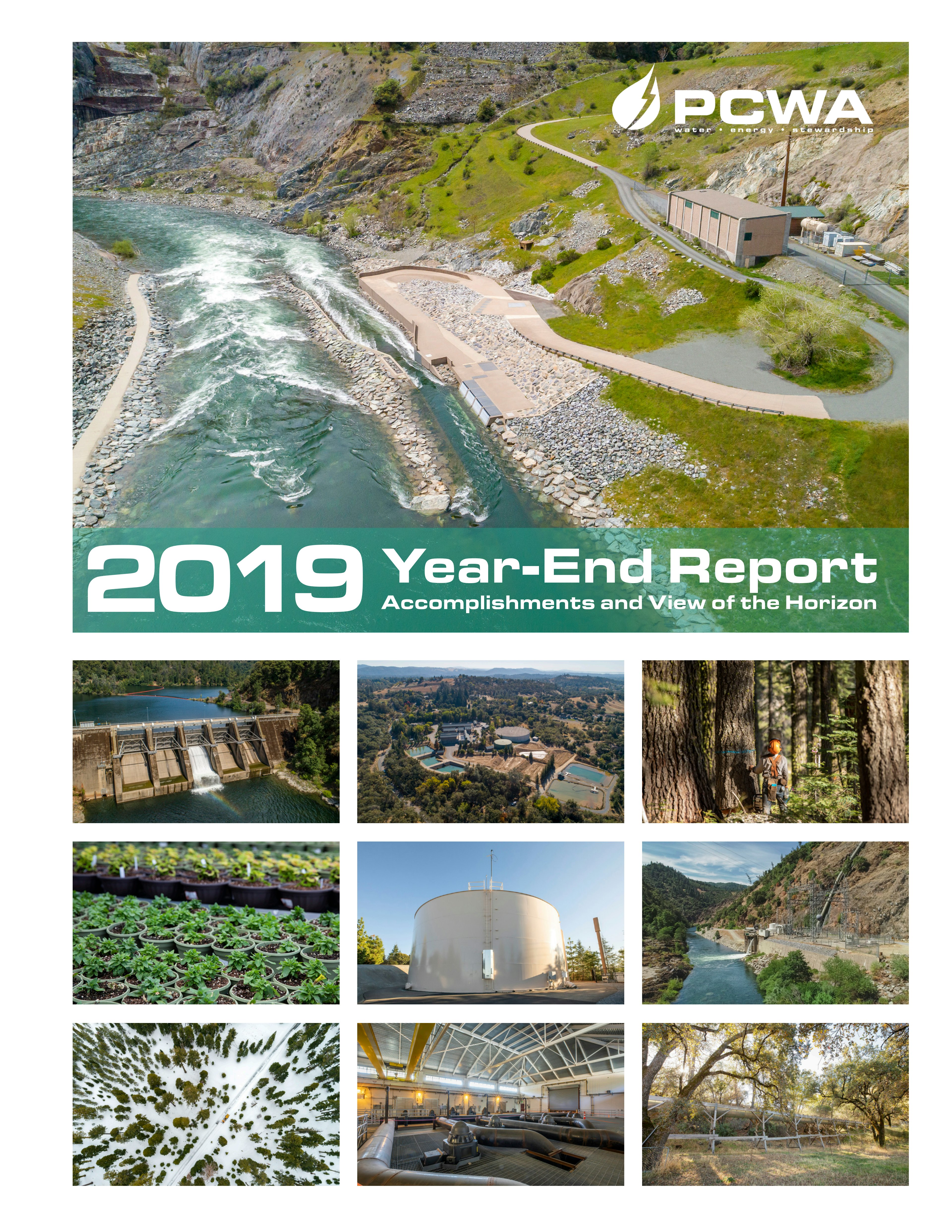 Thumbnail image and link for 2019 Year End Report publication
