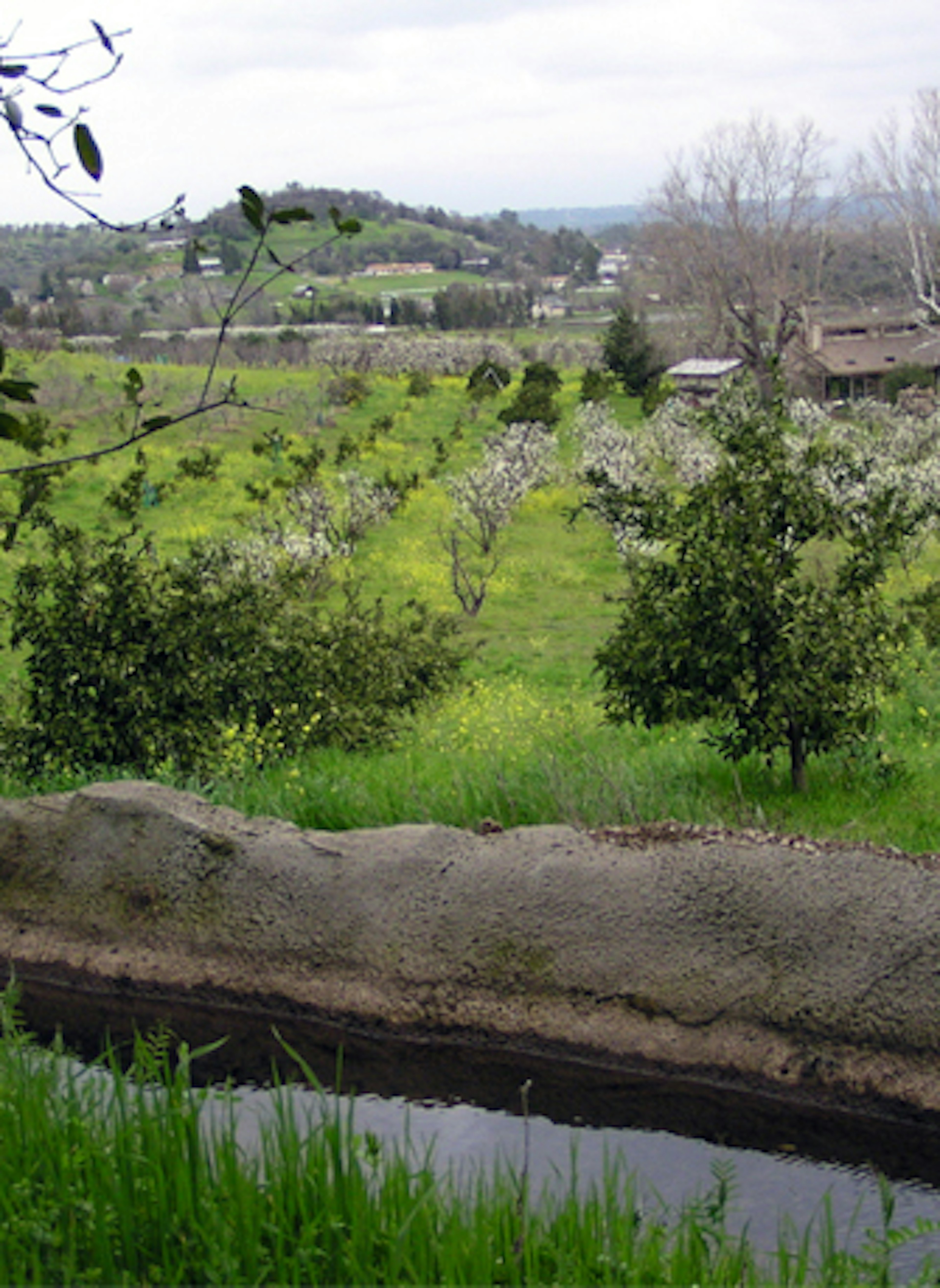 PCWA Canal photo