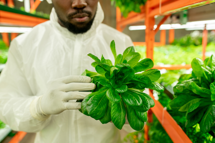 How Food Traceability Technology is Shaping the Produce Industry