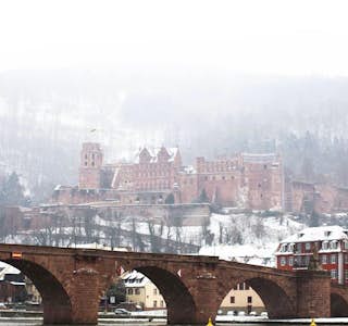 Still Through Heidelberg Castle & Old Town's gallery image