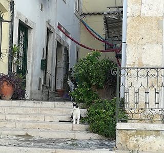Alfama: Narrows Streets, Moorish Presence & Local Traditions's gallery image
