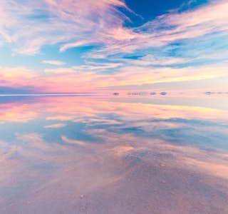 Explore The Salt Flats's gallery image