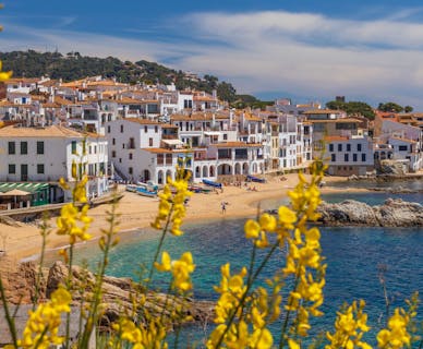 Why Spain?