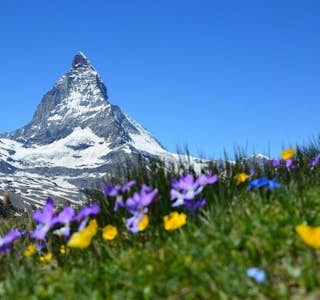 Exploring Switzerland by Train's gallery image