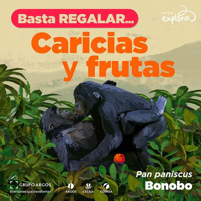 bonobos-pan-paniscus.jpg