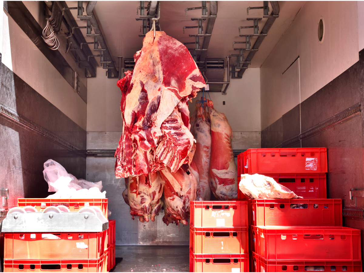 4 Things You Should Know To Transport Meat Safely