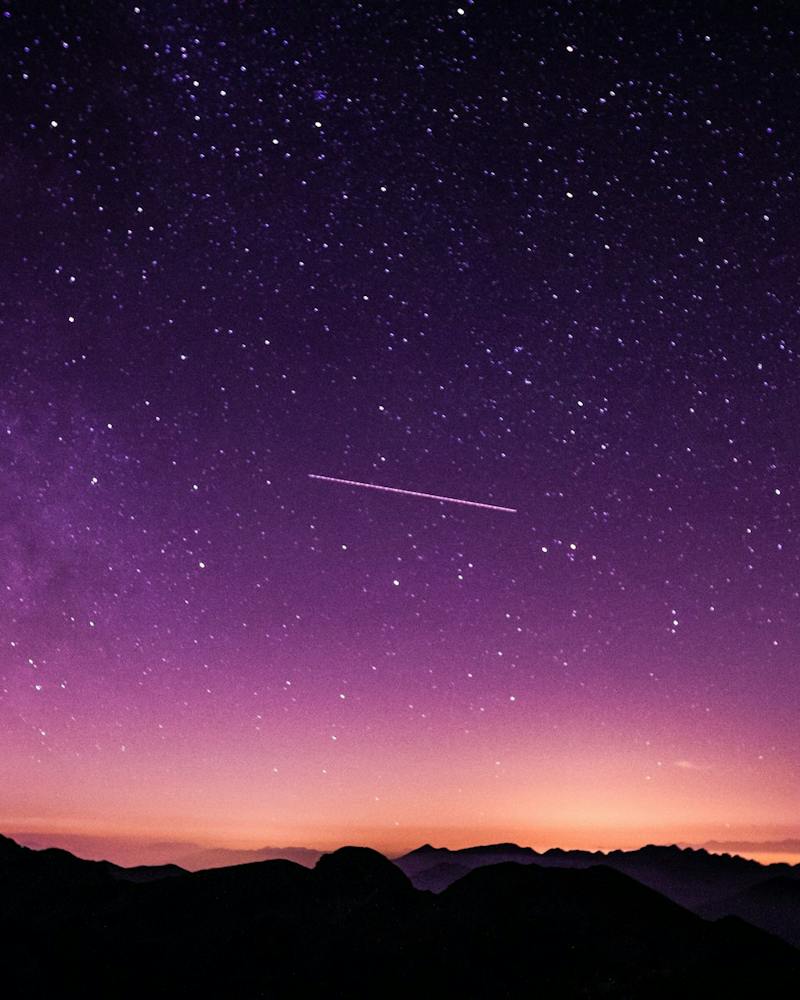 Finn the Little Fox and the Starlight Path