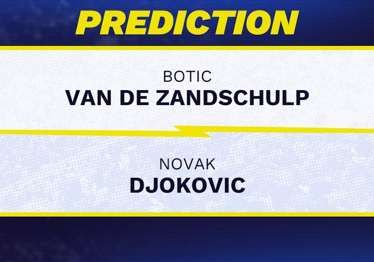 Botic Van de Zandschulp vs Novak Djokovic Tennis Prediction.