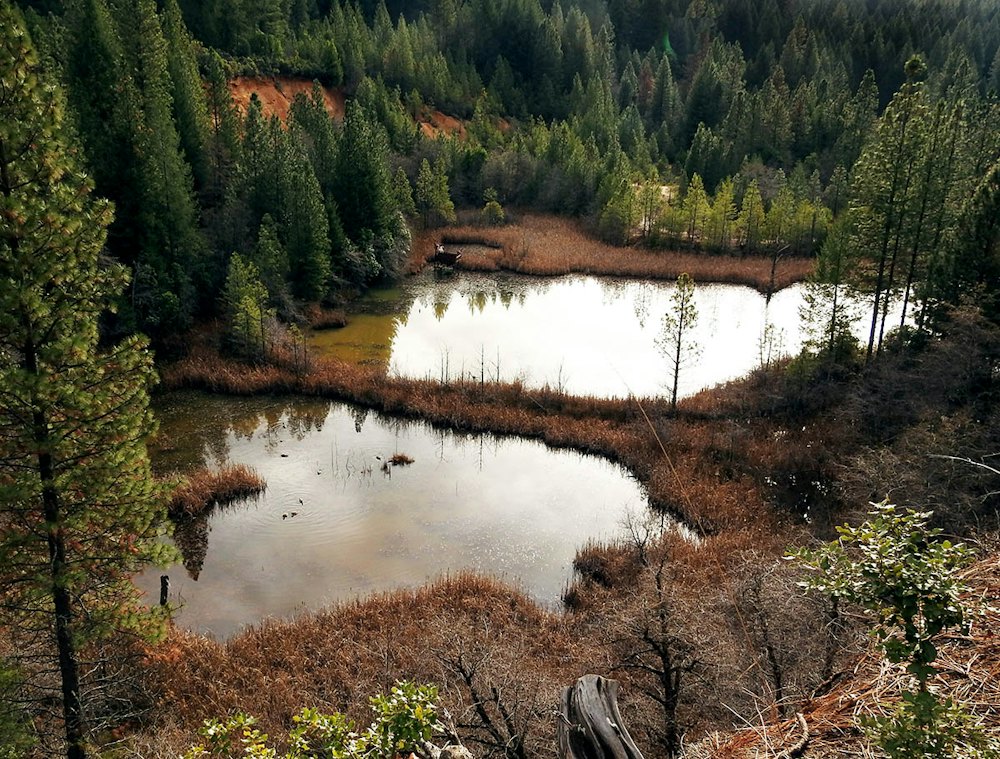 ks20240104_1.jpg