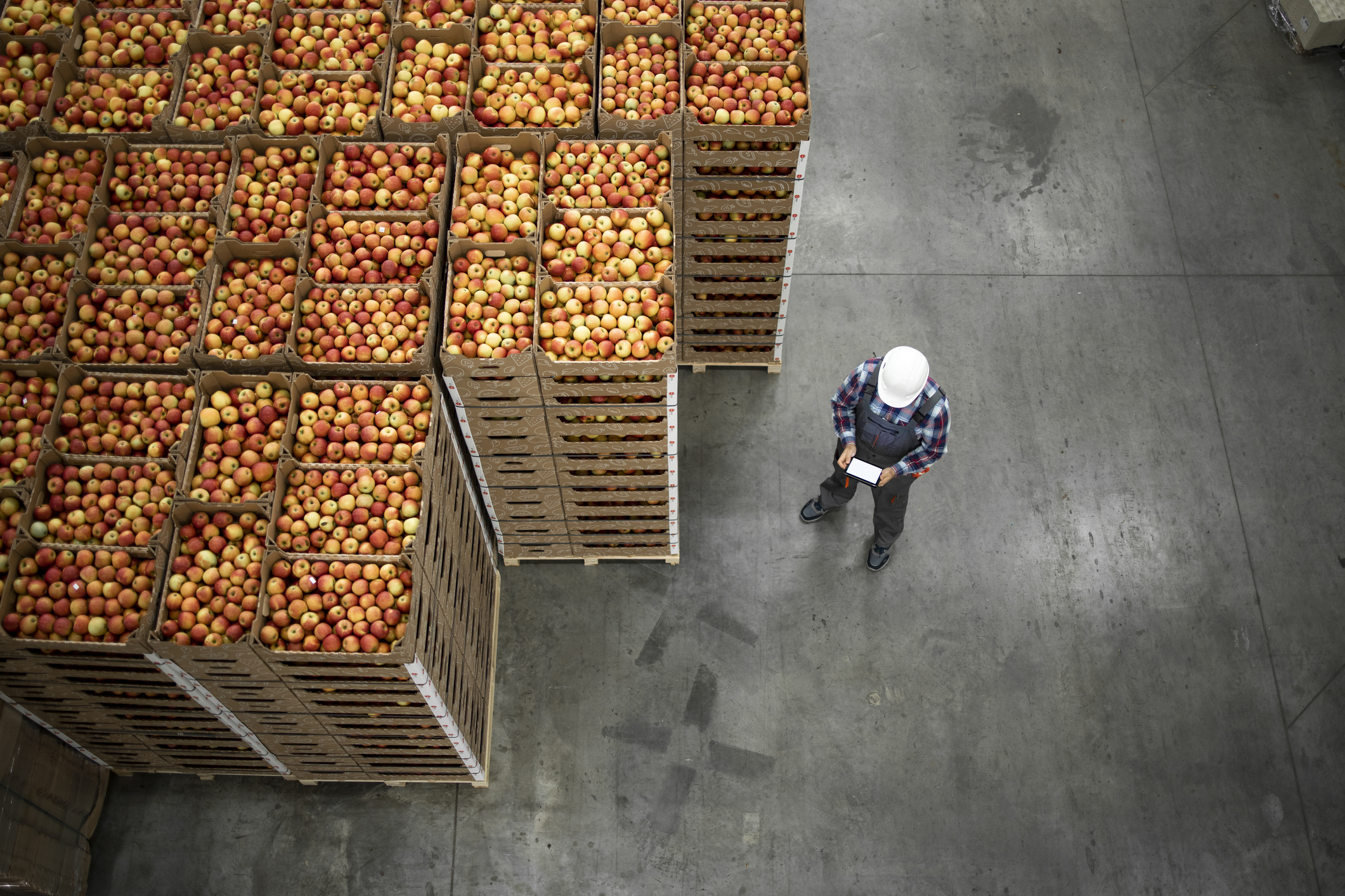 Tracking the Right Metrics for an Efficient Food Supply Chain