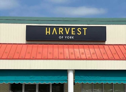 york dispensary near me