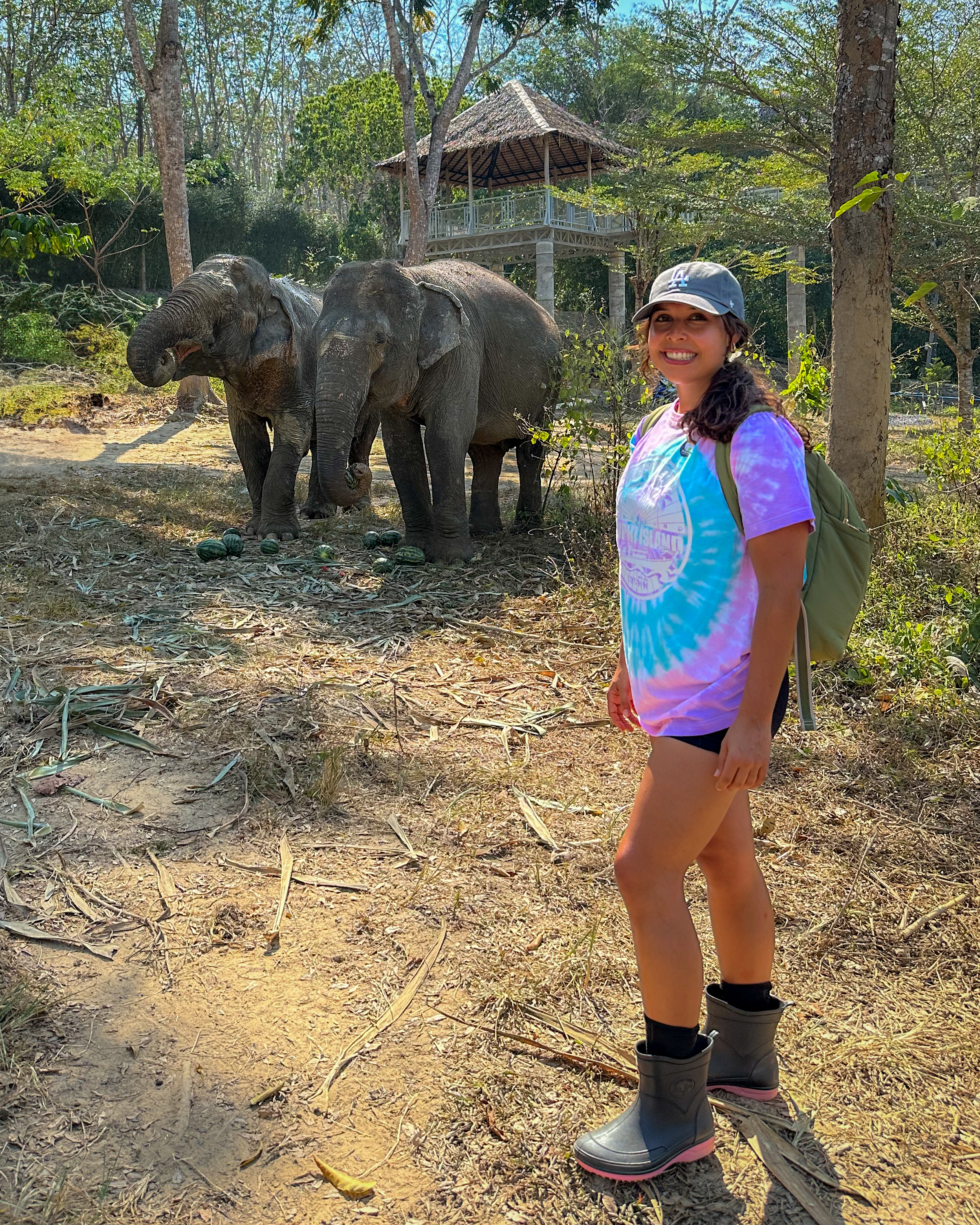 Elephant4.jpg