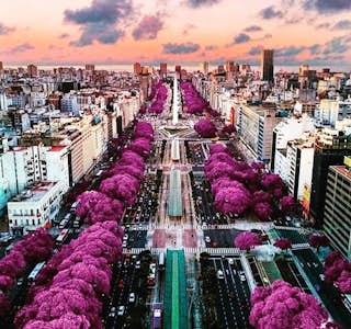 Buenos Aires City Tango Tour's gallery image