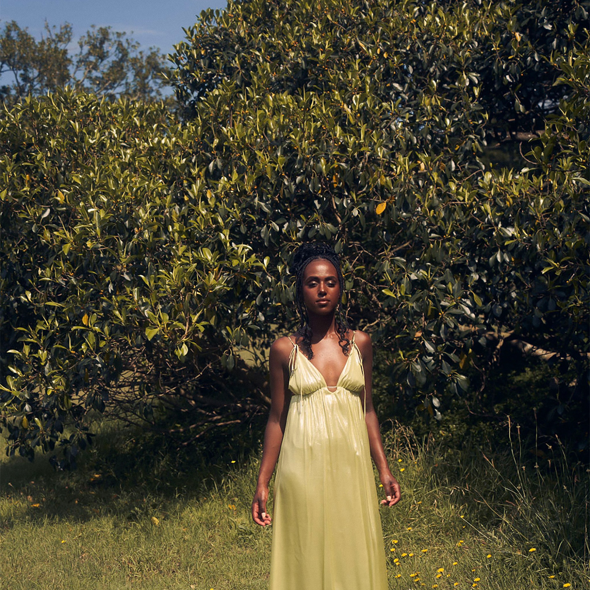 Music in Exile: Shewita