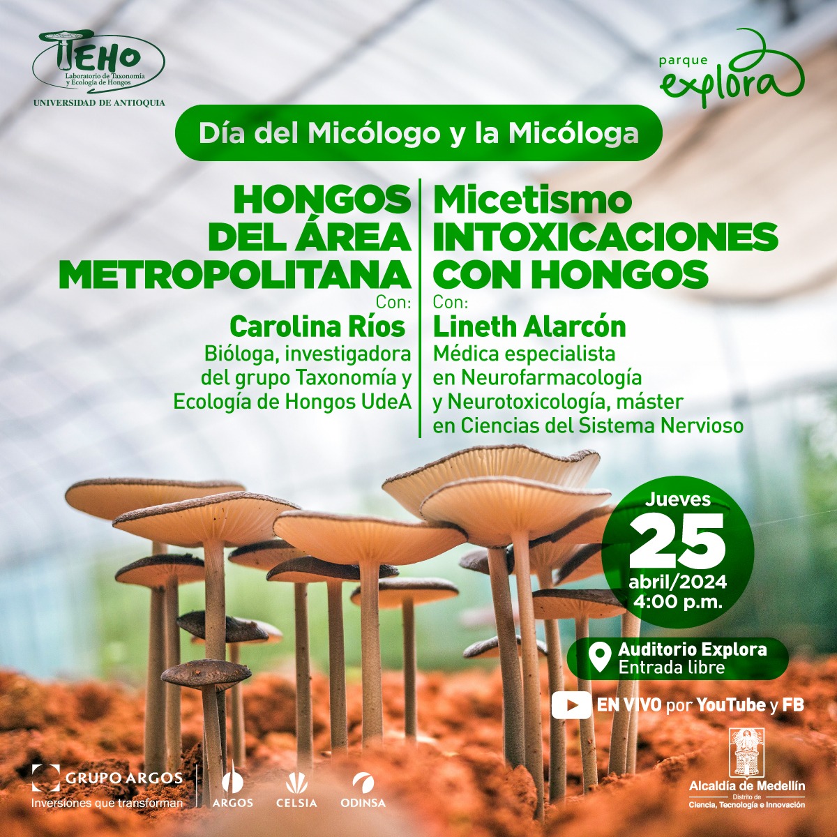 Fotografía. Grupo de hongos color beige, cada uno con sombreros y tallos de diferentes tamaños, emergen de una camita de tierra color ocre. Arriba un texto dice: “Día del Micólogo. Hongos del Área Metropolitana, invitada: Carolina Ríos, bióloga, investigadora del grupo Taxonomía y Ecología de Hongos, UdeA. Micetismo Intoxicaciones con hongos. Invitada: Lineth Alarcón Franco, médica especialista en Neurofarmacología y Neurotoxicología, máster en Ciencias del Sistema Nervioso. El jueves 25 de abril del 2024 a las 4:00 de la tarde, en el auditorio del Parque Explora con transmisión en vivo en Facebook y YouTube”.