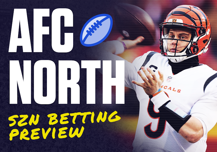 AFC North Betting Preview - Division Winner Odds, Win Totals and Team Outlooks