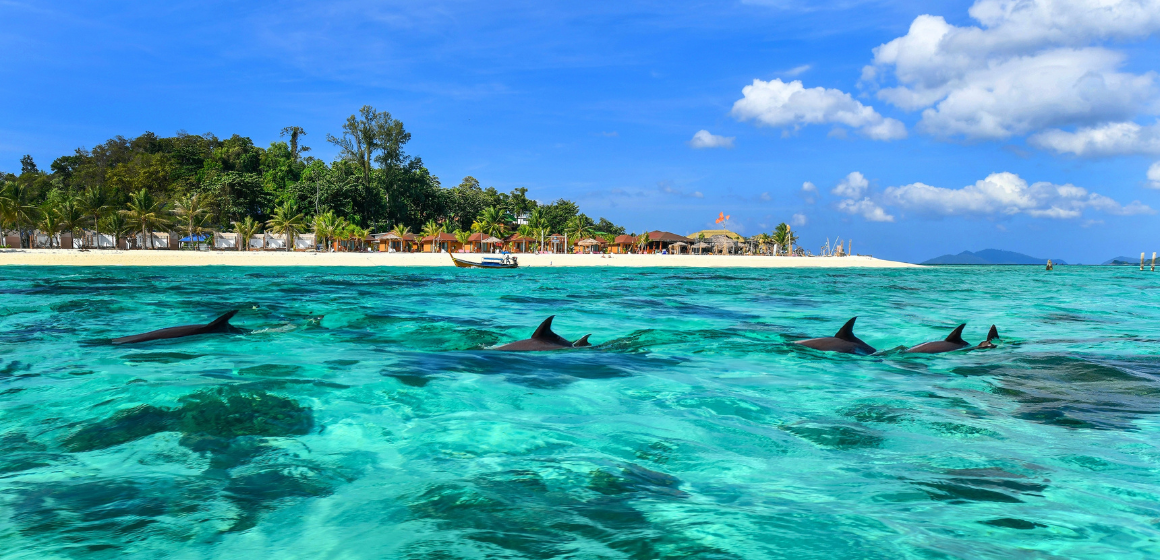 Koh-Lipe-in-Thailand---The-Holiday-People.png