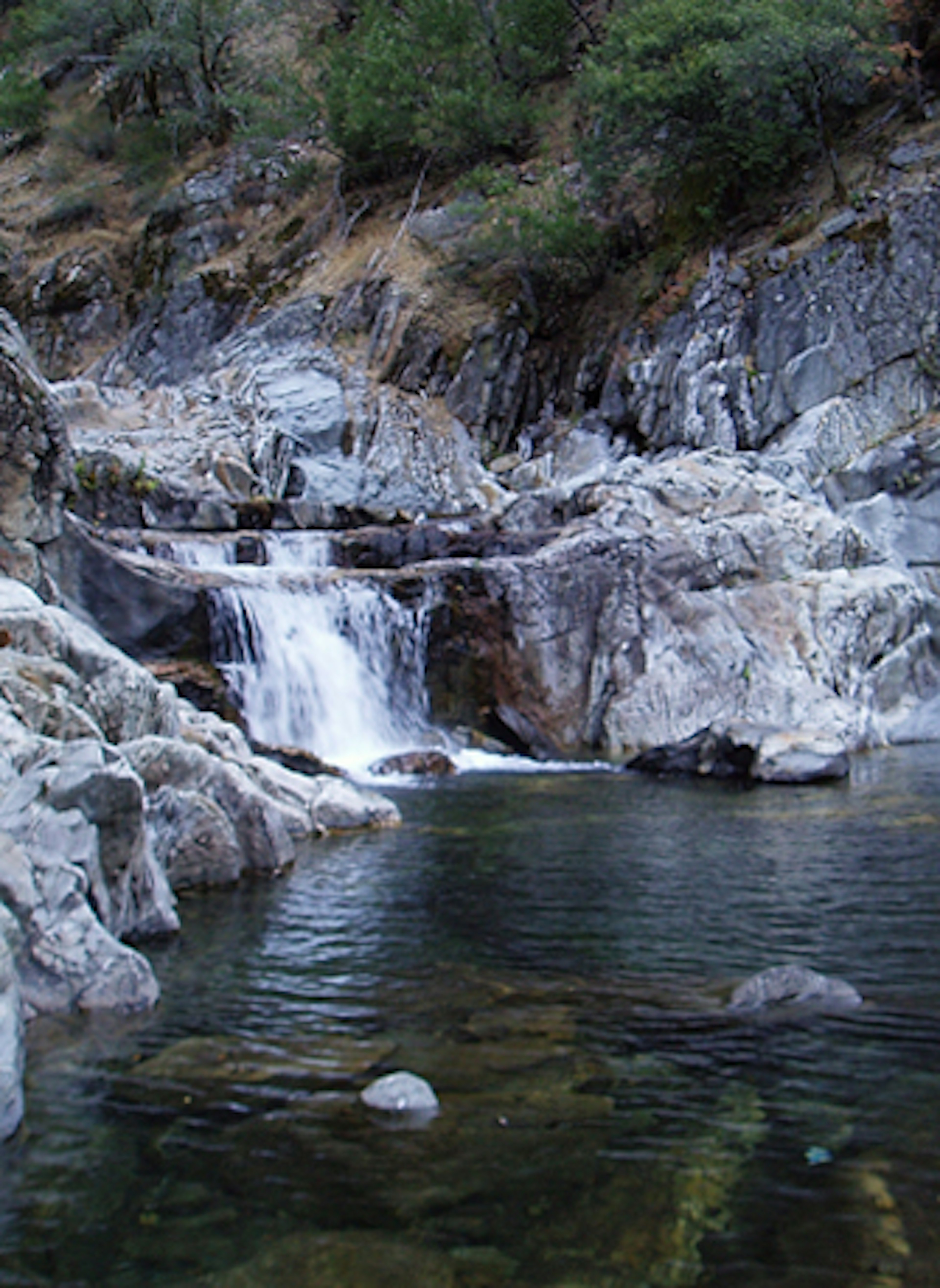 A photo taken of the American River