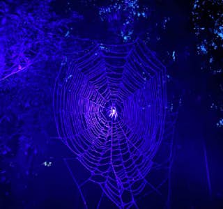 Glow in the Dark Virtual Tour's gallery image