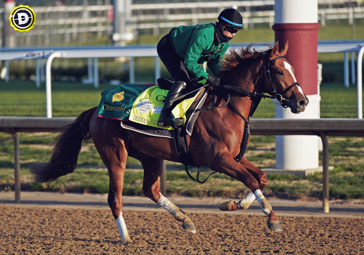 Breeders Cup 2023: Picks, Predictions and Odds